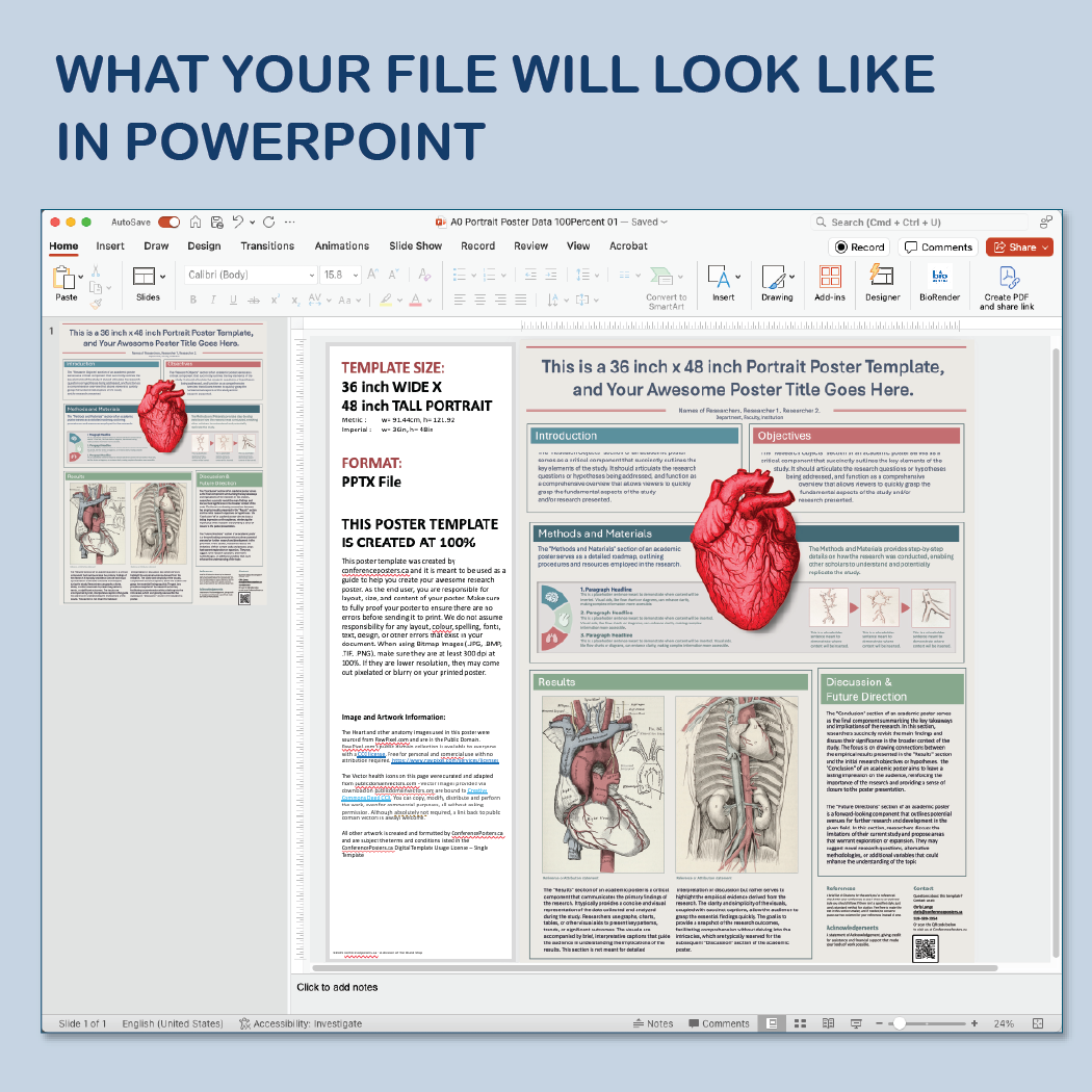 36 x 48 Portrait PowerPoint Template – Bio 05