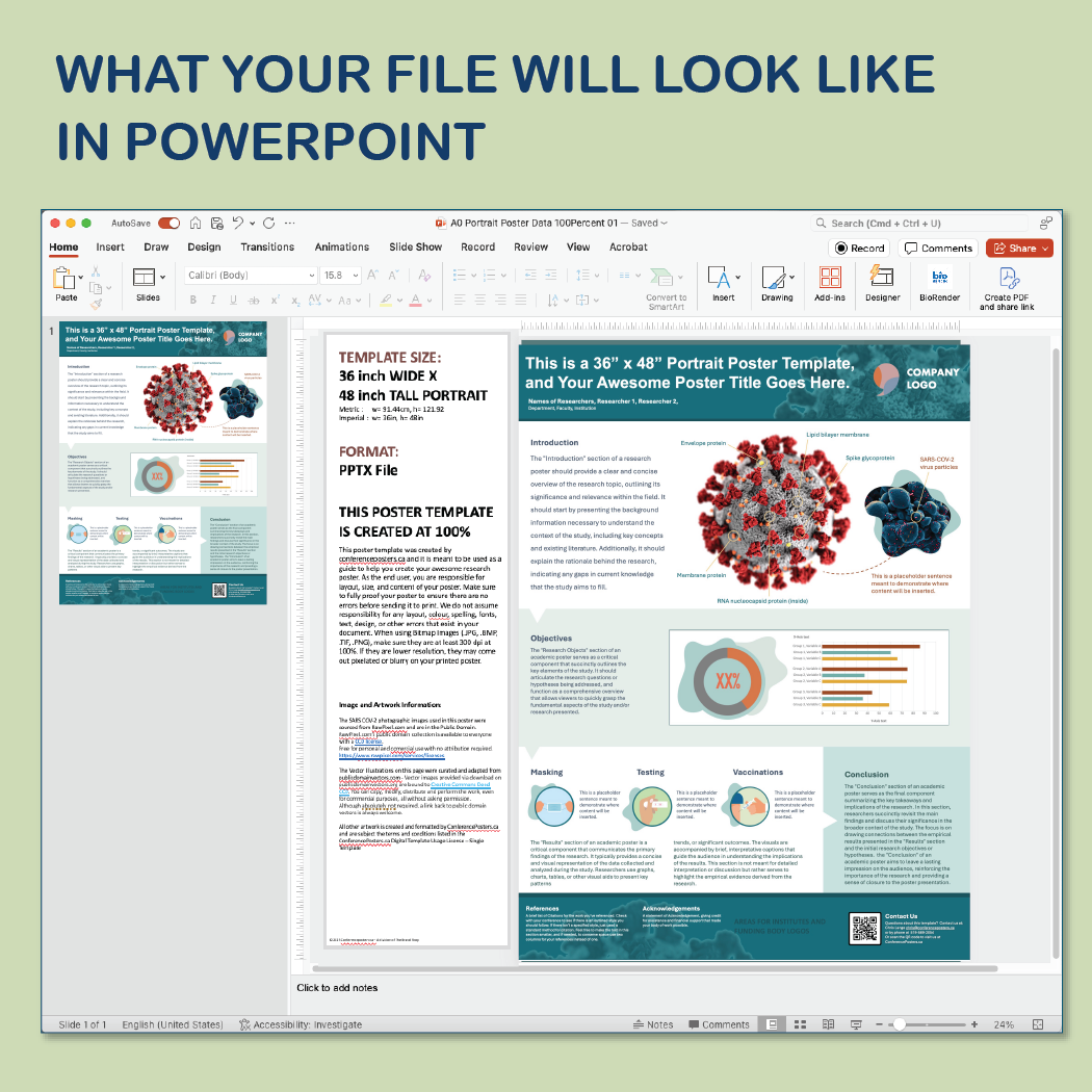 36 x 48 Portrait PowerPoint Template – Bio 01