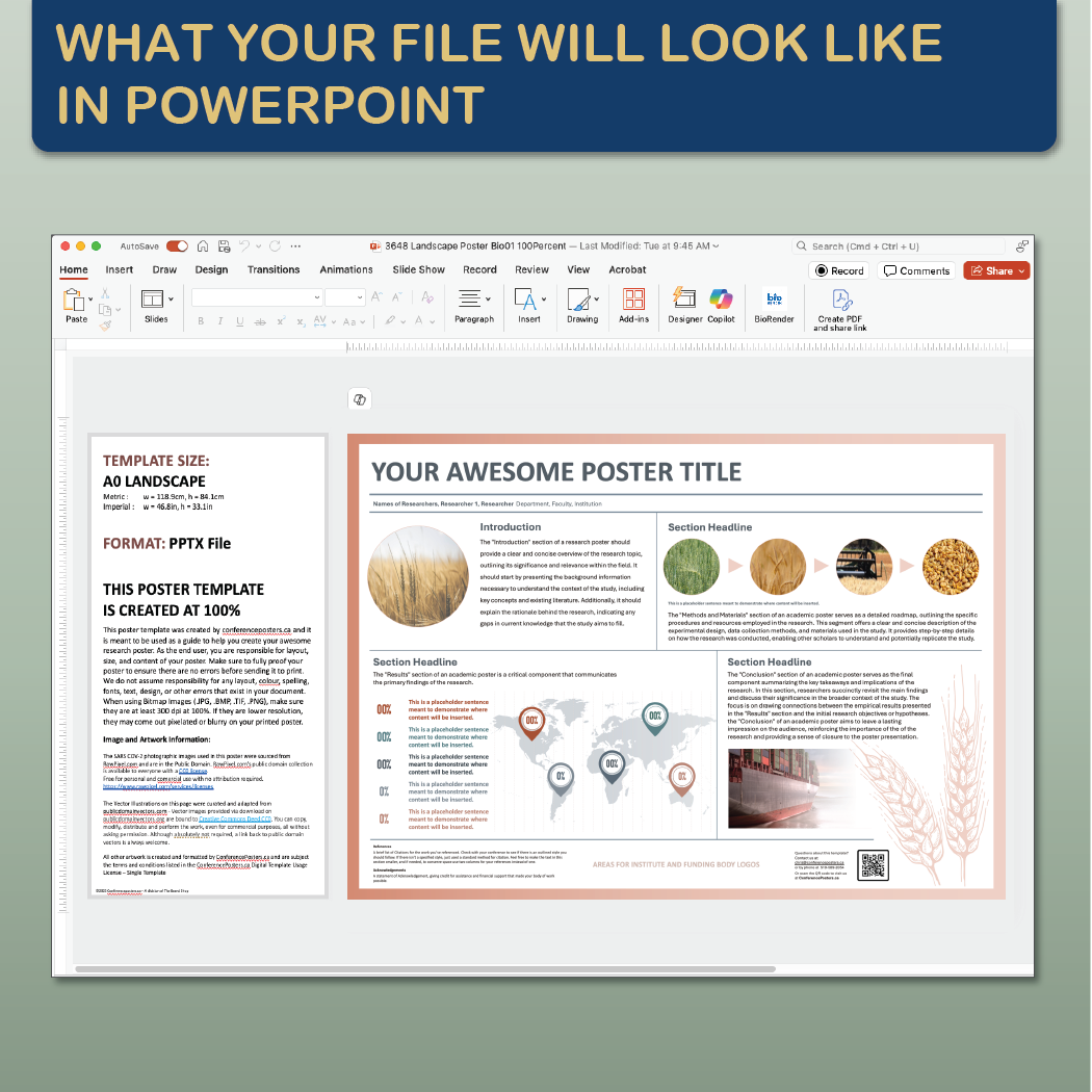 A0 Landscape PowerPoint Template – Business 01
